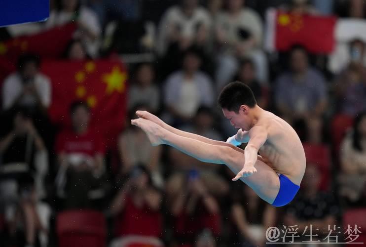 跳水世界杯决赛：男子10米跳台预赛