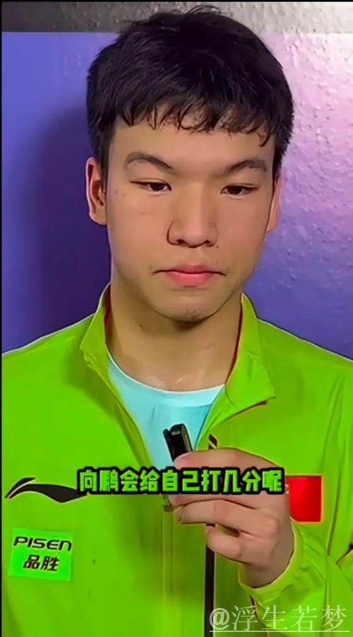 向鹏闯入男单16强